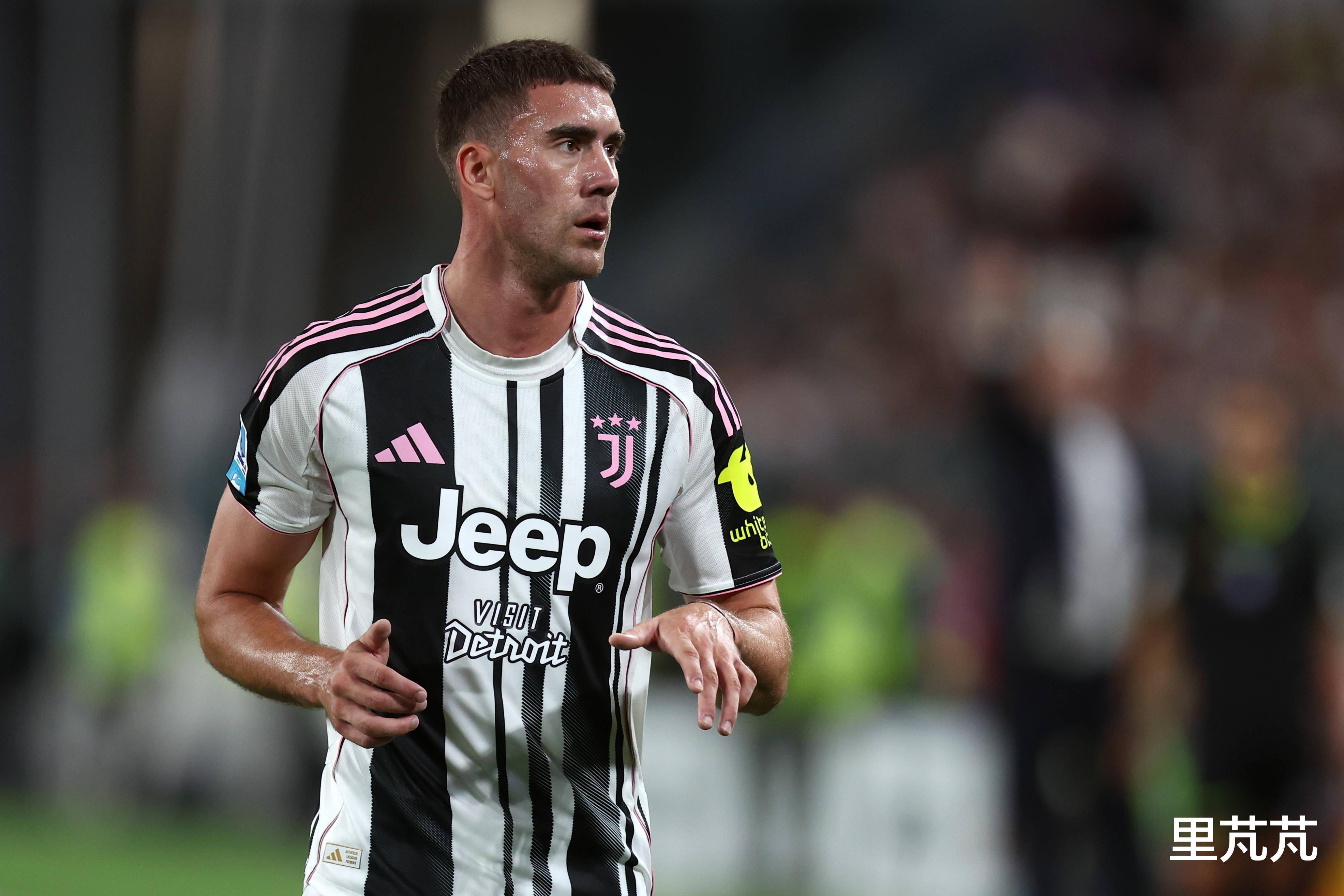 理安排他的, 纷纷在夏季, img 理安排他的, 纷纷在夏季, img